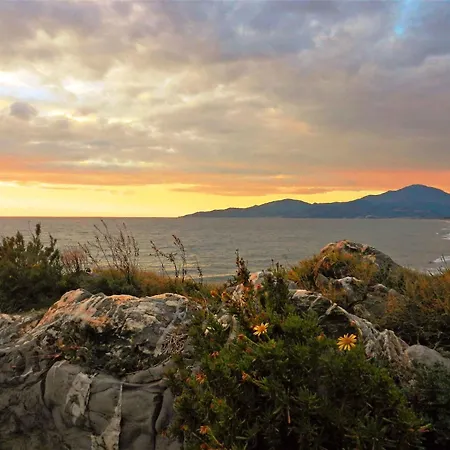 In - Cilento 38222