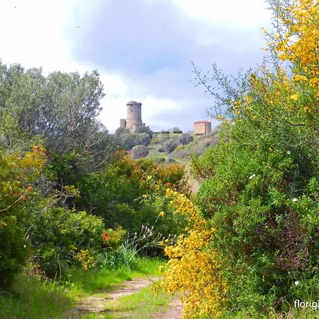 Apartament In - Cilento 38222